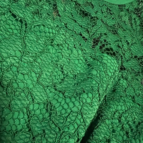 The Limited lined lace dress - Picture 2 of 7